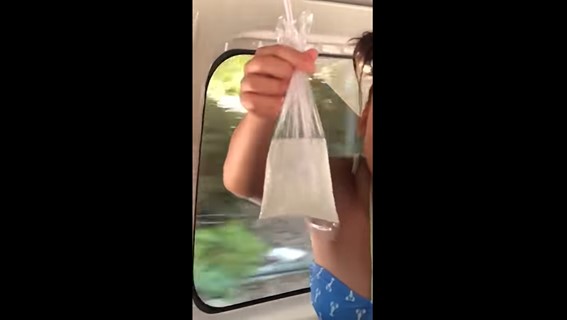 フワちゃん　謎の金魚袋